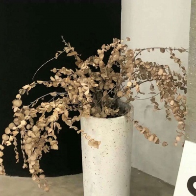 兽设星空元素设计福瑞交流群